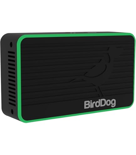 Amazon.com: BirdDog 4K 12G-SDI NDI Encoder/Decoder : Electronics